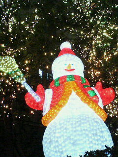 201012231023000.jpg
