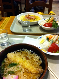 天ぷらうどん.jpg